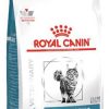 ANALLERGENIC CAT 2KG