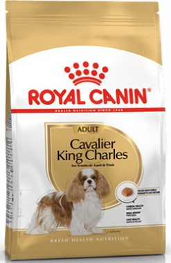 CAVALIER KING CHARLES