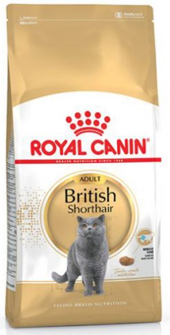 ROYAL BRITISH SHORTHAIR 2 KG