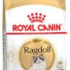 ROYAL RAGDOLL 2KG