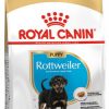 ROYAL ROTTWEILER JUNIOR