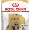 ROYAL SHIH TZU ADULT