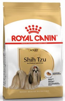 ROYAL SHIH TZU ADULT