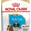 ROYAL SHIH TZU JUNIOR 1.5 KG