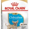 Royal Canin Chihuahua Junior