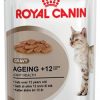 Royal canin ageing+12 gravy 85 gr