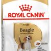 Royal canin beagle adult