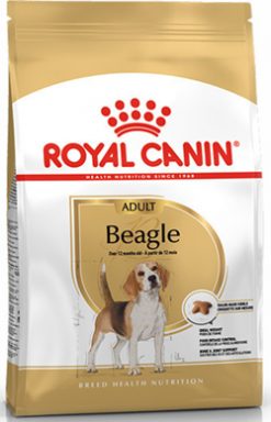 Royal canin beagle adult