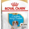 Royal canin cavalier king charle puppy