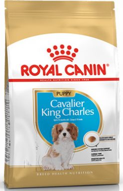 Royal canin cavalier king charle puppy