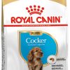 Royal canin cocker puppy