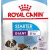 Royal canin giant starter 4 kg