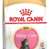 Royal canin maine coon kitten 2kg