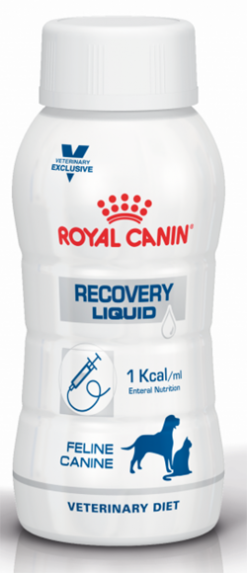 Royal canin recovery liquid 200 gr