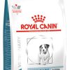 Royal canin skin care small dog junior 2 kg