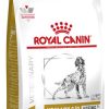 Royal canin urinary s.o ag 7+ dog