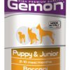 Gemon dog junior chicken & turkey 415 gr