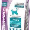 gemon cat urinary chicken