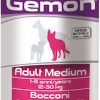 gemon dog chunks adult medium beef