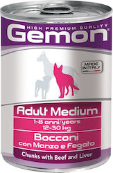 gemon dog chunks adult medium beef