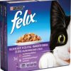 Felix Multi Pack Φακελάκι Γάτας Beef & Salmon 6x100 gr