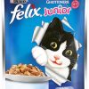 Purina felix junior βοδινό 100 gr